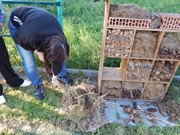 Opravujeme hmyzí hotel